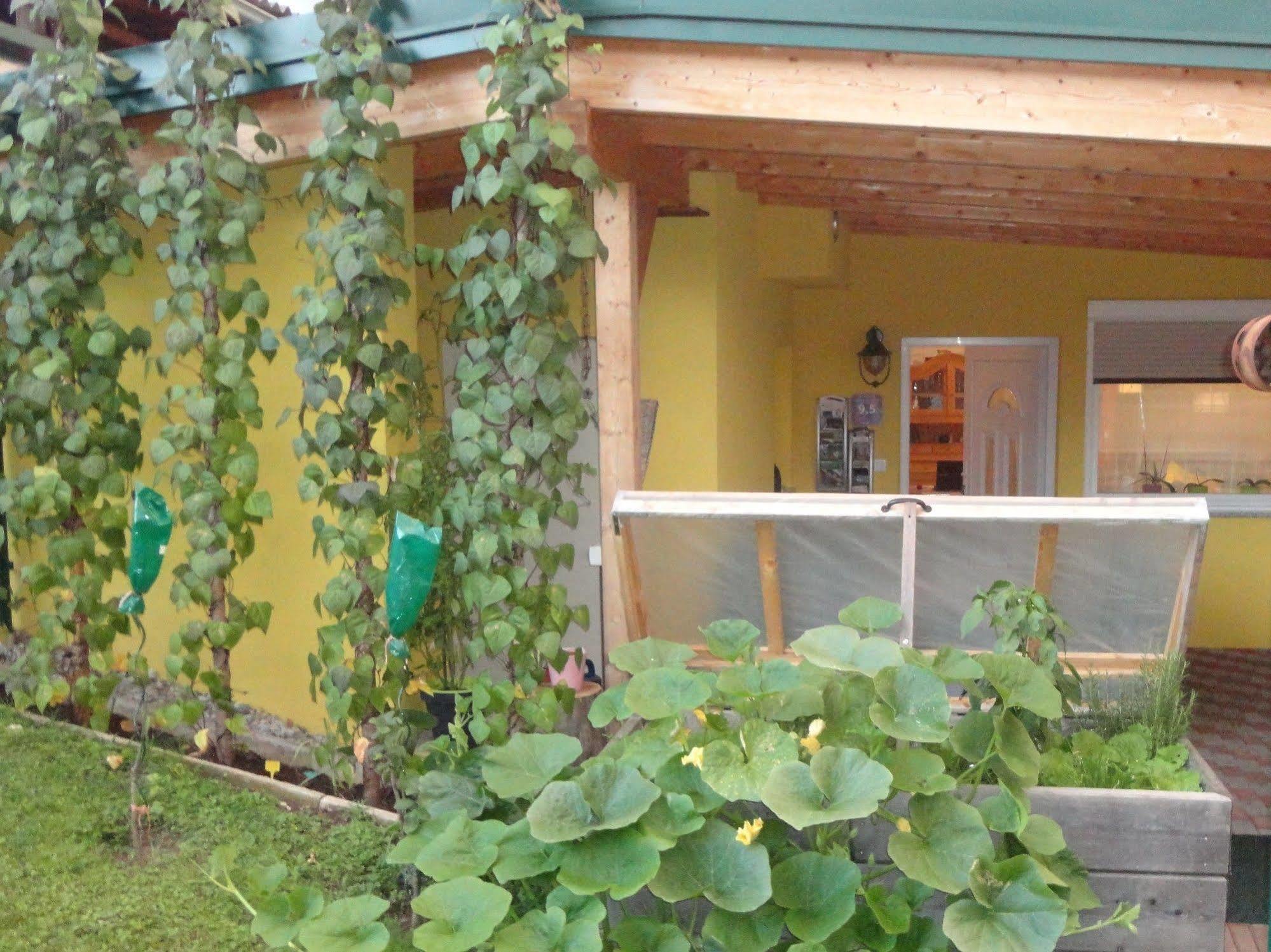 Ferienwohnungen Fam. Pabst Maria Lankowitz Exterior photo